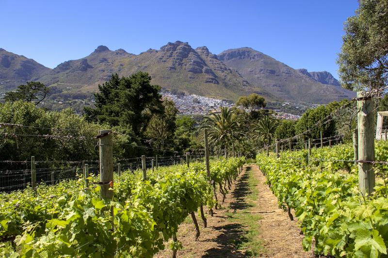 5 Bedroom Property for Sale in Hout Bay Western Cape